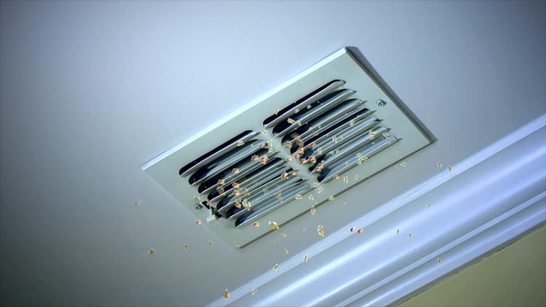  Ventress, LA Airduct Cleaning Pros