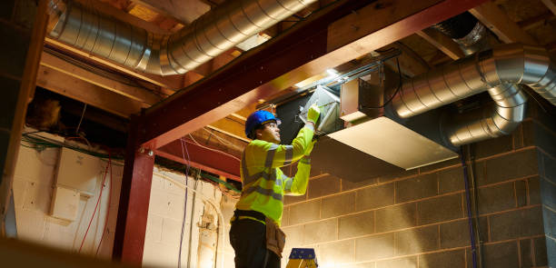 Air Duct Mold Removal in Ventress, LA